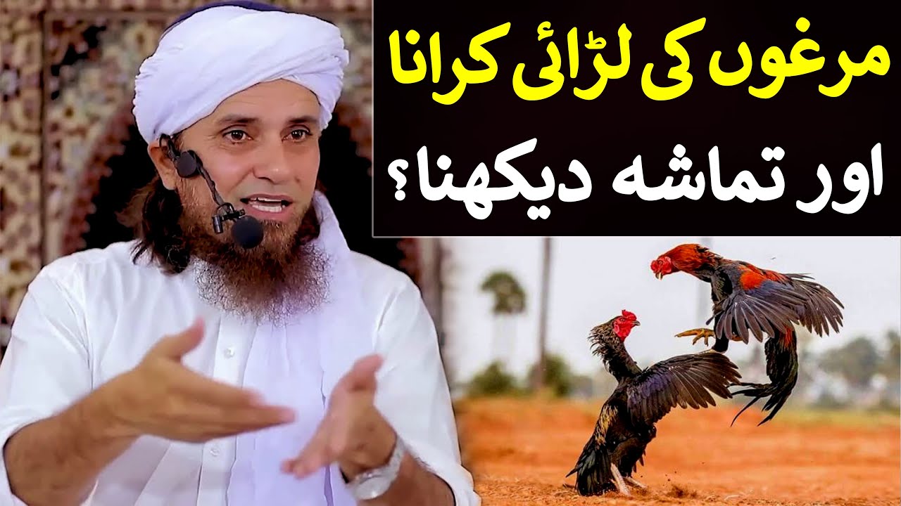 Murgon Ki Larai Karana Aur Tamasha Dekhna ? | Mufti Tariq Masood Special | New Bayan 2022